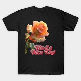 have a nice day Art design. T-Shirt